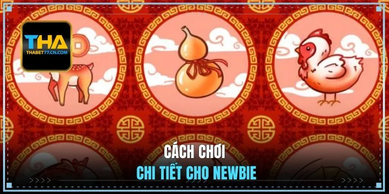 Cách chơi chi tiết cho newbie