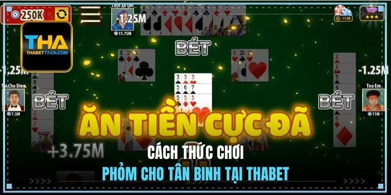 Cách thức chơi Phỏm cho tân binh tại Thabet