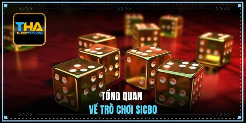 Tổng quan về trò chơi Sicbo Thabet